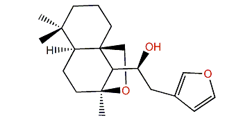 Cacofuran B